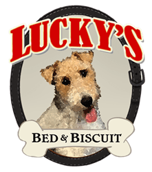 Lucky’s Bed & Biscuit