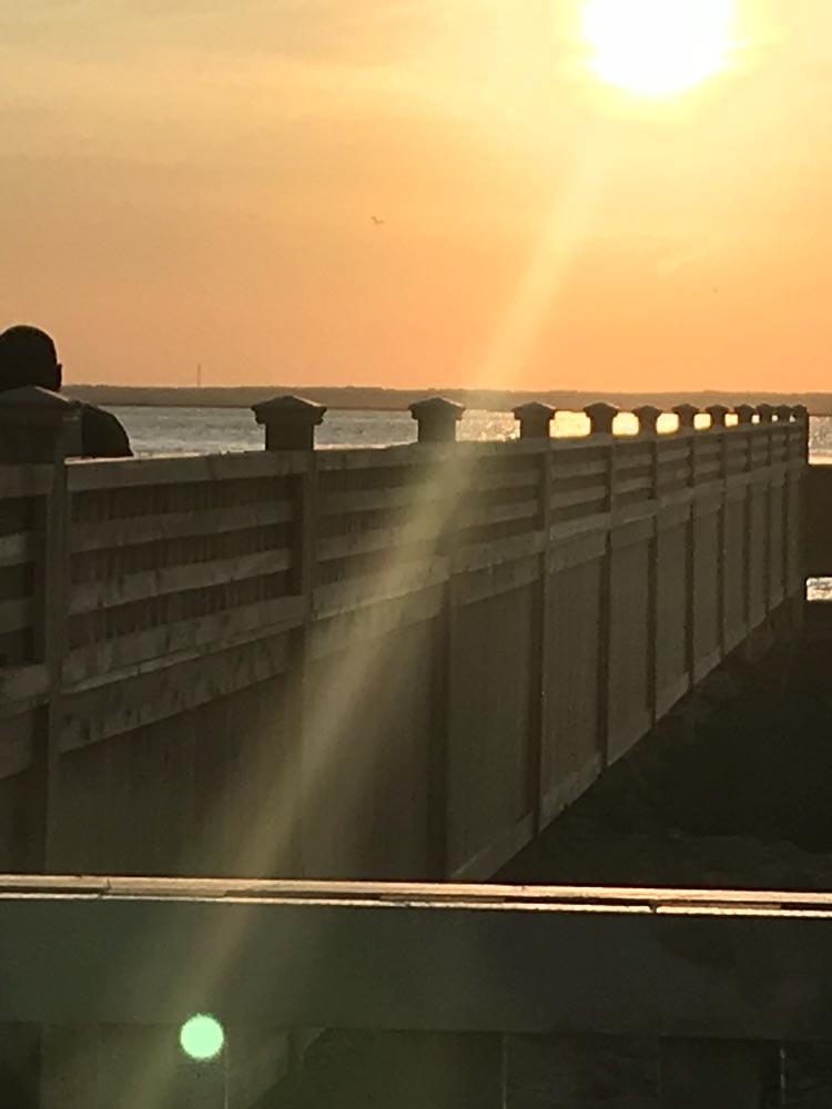 Ocean Fence